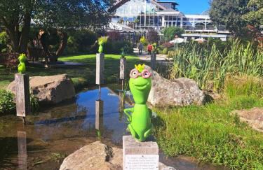 Sternenacht - Foto 33