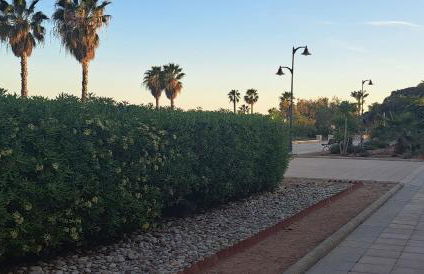 Apartamento Chilches Vistas al mar - Foto 35