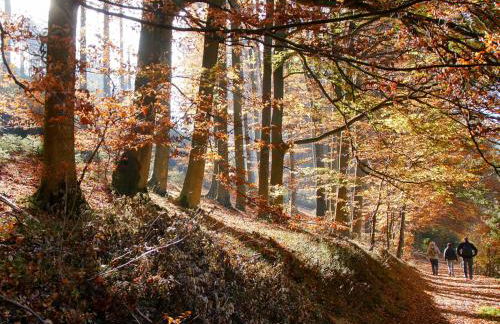 Ferienwohnung Eggeblick - Foto 31