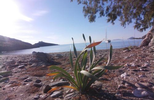 House by the sea - Photo 6