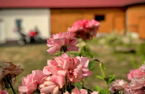 Apartment Gabriela - Foto 41