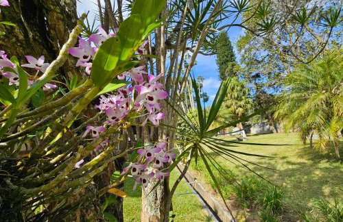 Casa Incrível em Nova Friburgo - Espaço Humedica - Foto 76