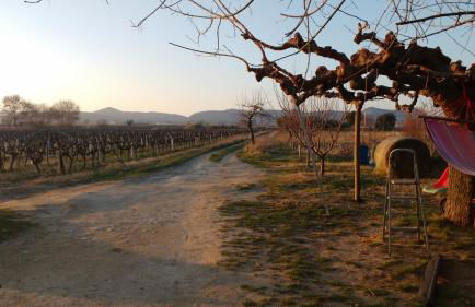 Gîte à la ferme - Foto 13