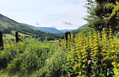 3 Bed in Capel Y Ffin 93362 - Foto 25