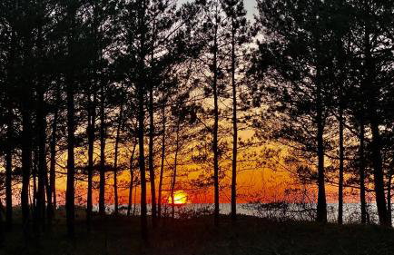 Apartament z Tarasem Plaza 22 - Foto 44