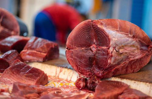 Donna Sofia House - Foto 38