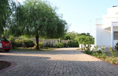 Boat dreams , garden relax - Foto 24