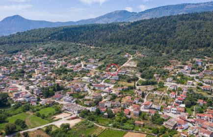 Panoramic Escape - Thesprotiko - Foto 3