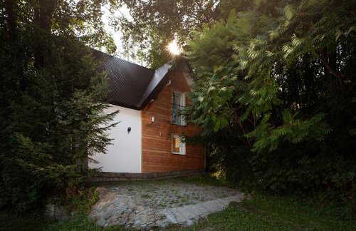 Pasieka - Dom Wypoczynkowy - Foto 3