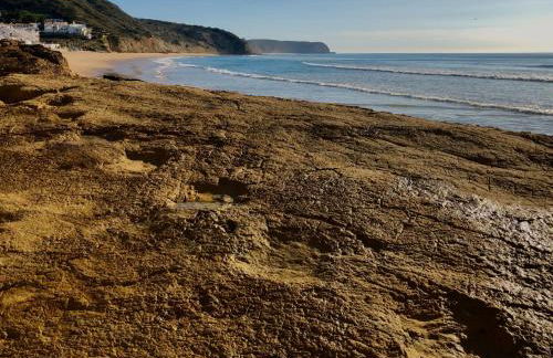 Casa da Figueira - Guest House - Foto 37