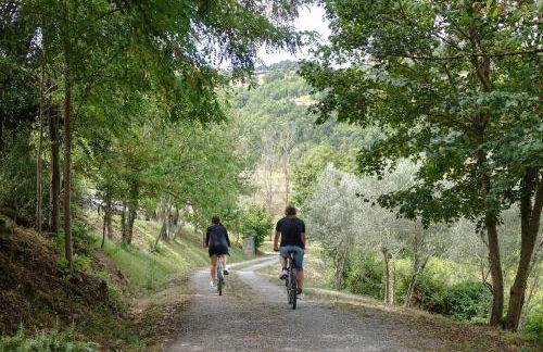 Agriturismo Montelovesco - Foto 158