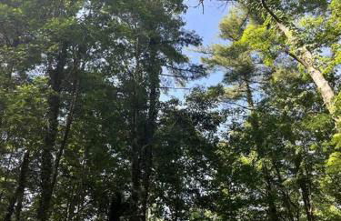 Cozy Cottage w Hot Tub, 5 min walk to Main St - Foto 20