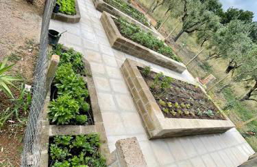 Agriturismo Podere Valdo - Foto 10