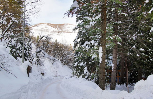 Cottage on the Stream - Photo 27