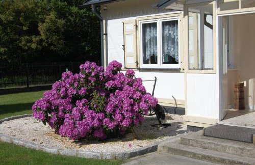 Letnia Oaza "Kalina" - Foto 1