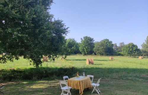 Appartamento Il Picchio Verde - Foto 27