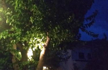 Kalama Apartments - Foto 27