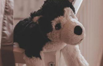 Traumhaftes Apartment Lauf - Foto 7