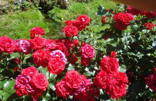 Ferienhof Hohe - Foto 14