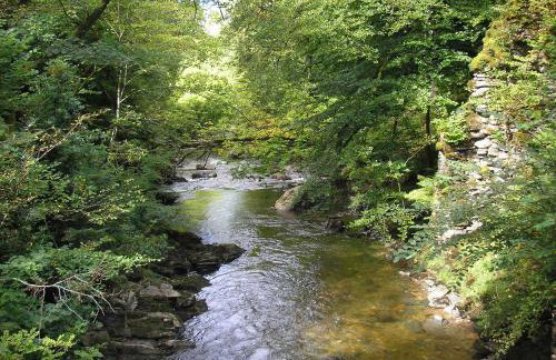 Butlers Quarters Apartment - Foto 10