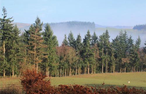 Dee Valley Cottages - Photo 4