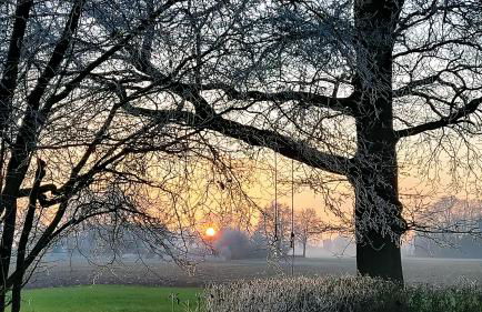 Landhaus Seemann Ferienwohnungen im Grünen - Foto 8