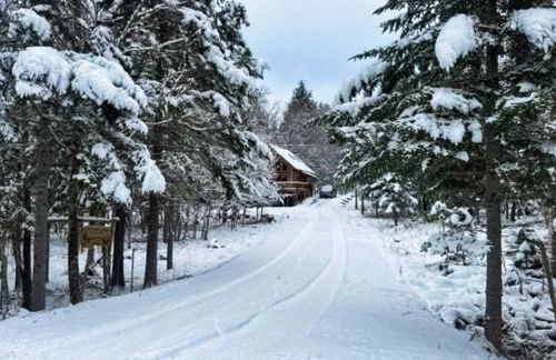 Mooseleuk Lodge - Foto 12