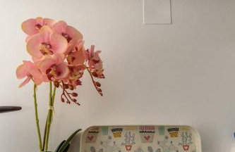 Seagull House 3 - Photo 21