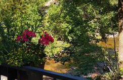 Ferienwohnung Tannenballett im Schwarzwald - Foto 46