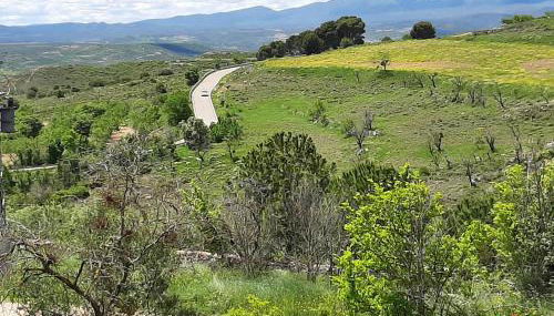 CASA RURAL "ECCEHOMO de BORJA" - Foto 4