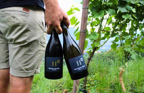 Hillepranter - Foto 9