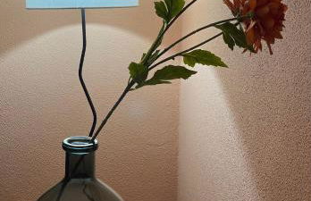 Cal Albert Isona - Foto 24