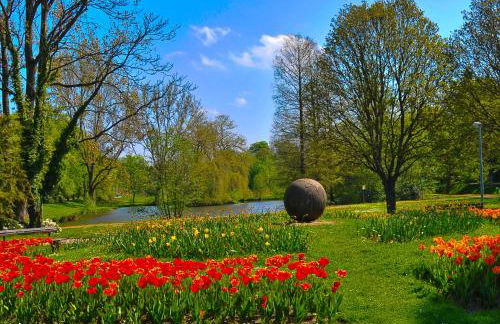 Hennen-Nest - Foto 23