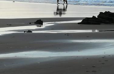 La Casina de Valles de San Román - Foto 25