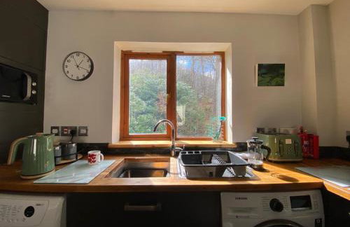 Eakie House Apartments - Kinlochleven - Foto 12