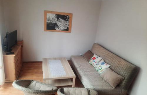 Domki Pod Jesionami - Foto 15