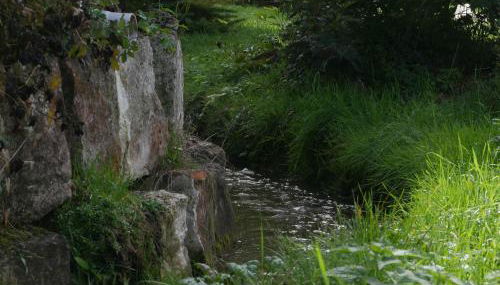 Ferienwohnungen Knodel - Foto 3