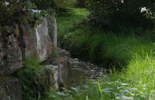 Ferienwohnungen Knodel - Foto 3