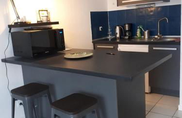 Talence, studio cosy 27 M2, Bordeaux 10 mn en tram - Foto 4