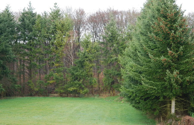 Modern Apartment in Bolsdorf With Sauna - Foto 26