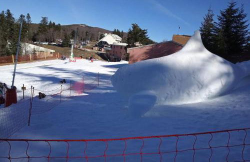 Maison en pierres au cœur d'un village Ardéchois - Photo 32