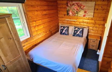 Cosy log cabin in Snowdonia 167 - Foto 10