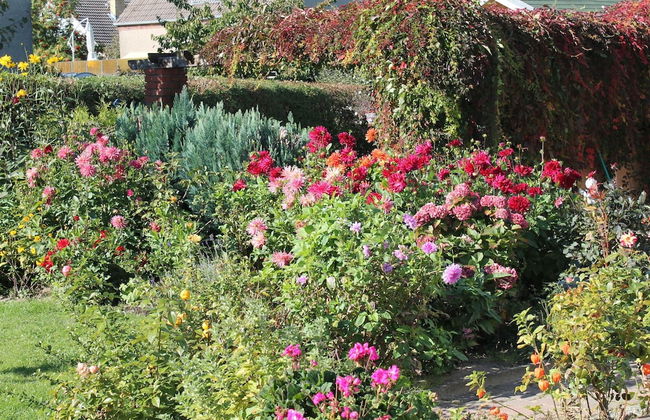 Moderne Ferienwohnung in Kuhlungsborn im Grunen - Foto 14