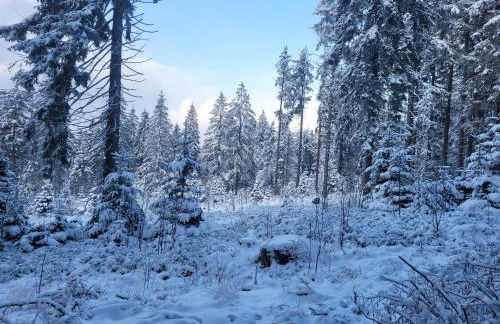 Studio "Auszeit wie dahoam" im Predigtstuhl Resort - Foto 26
