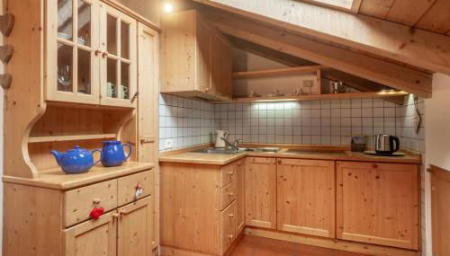 DolomiApartments - Appartamento Fiordaliso - Foto 4, stove