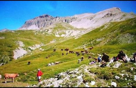 Appartement accueillant à Selonnet de 80 m² avec piscine partagée - Foto 26