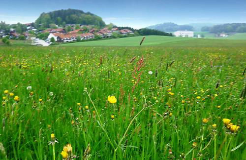 Ferienhaus LIVI - Foto 26