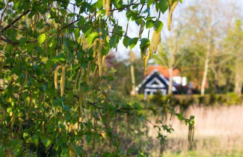 Ferienhaus Clara - Foto 24