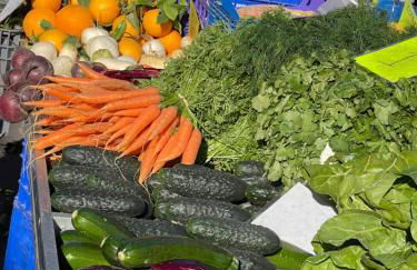 Altea Dreamview - Foto 26