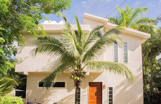 Mini Pini Birdwatching and Cenote Loft4 you Only - Foto 1